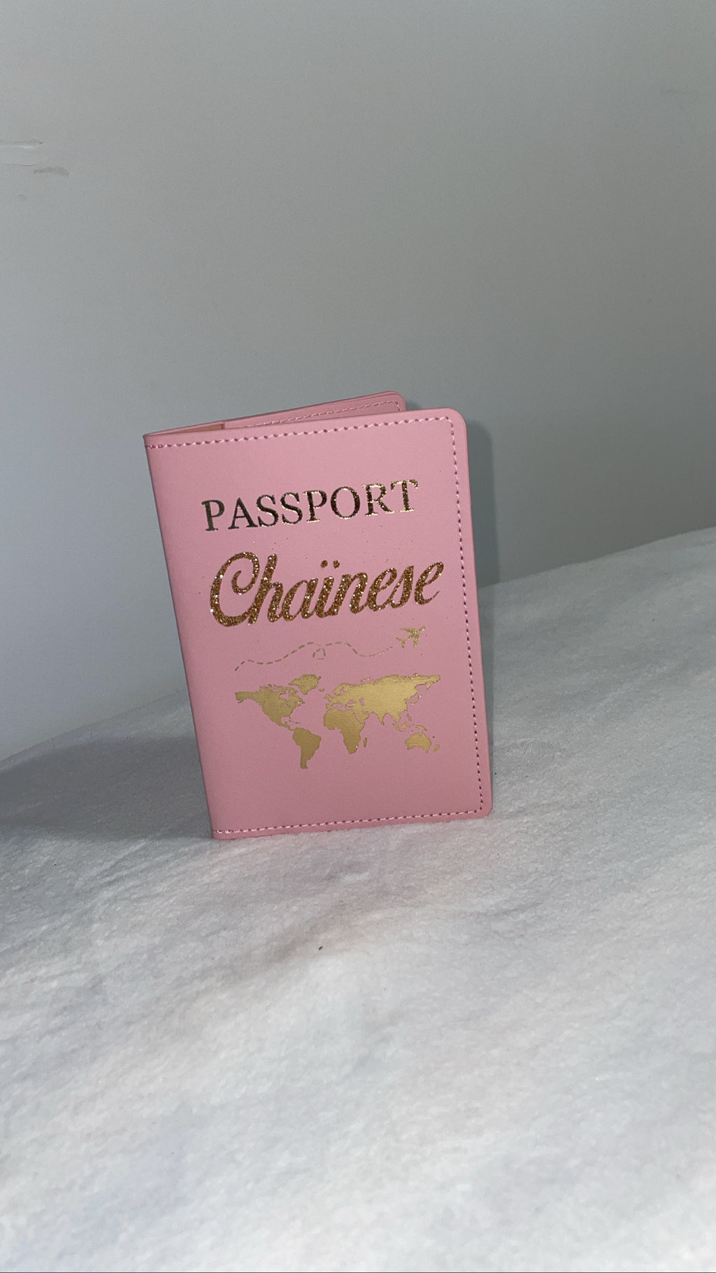 Protège passeport