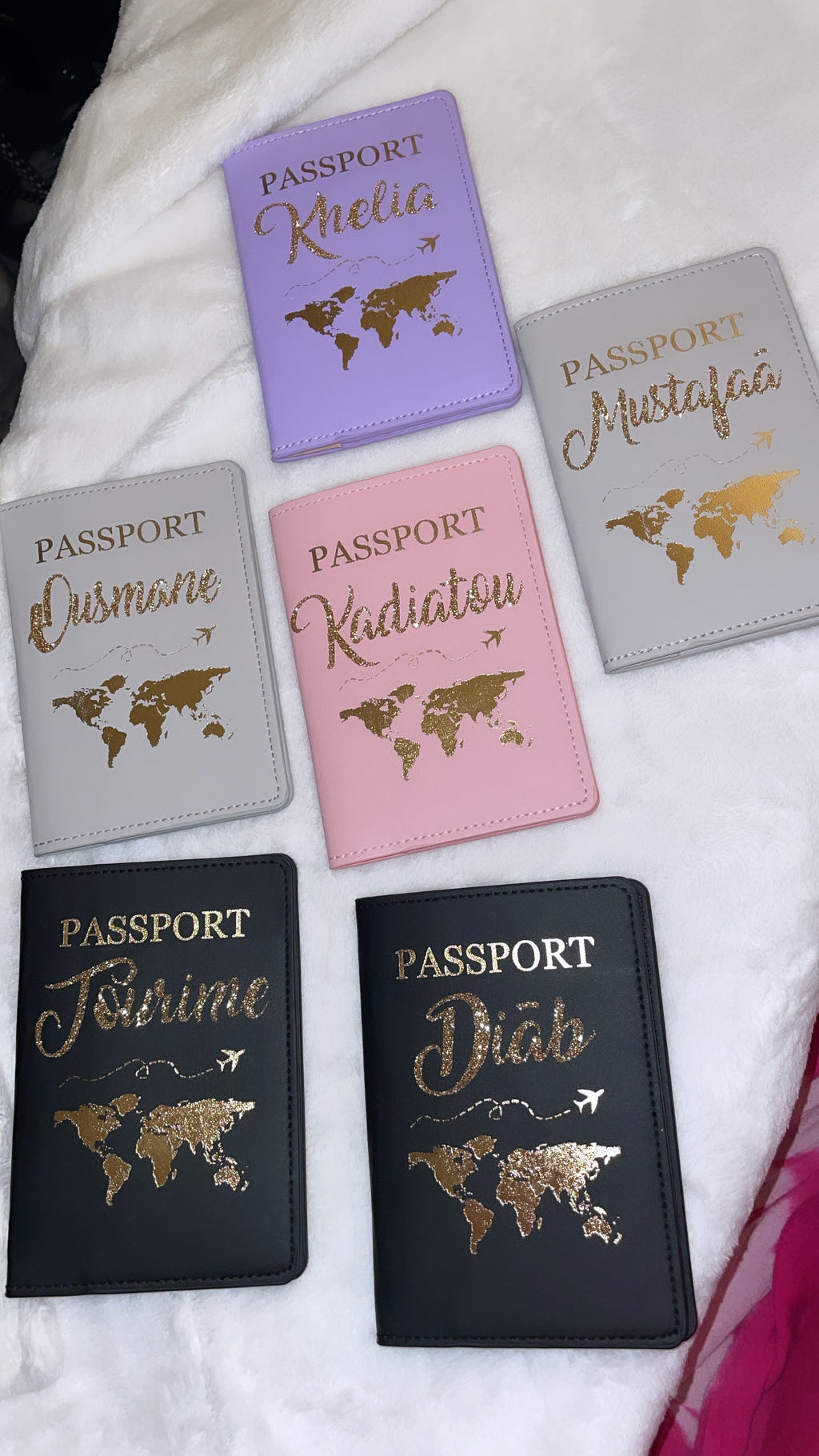 Protège passeport