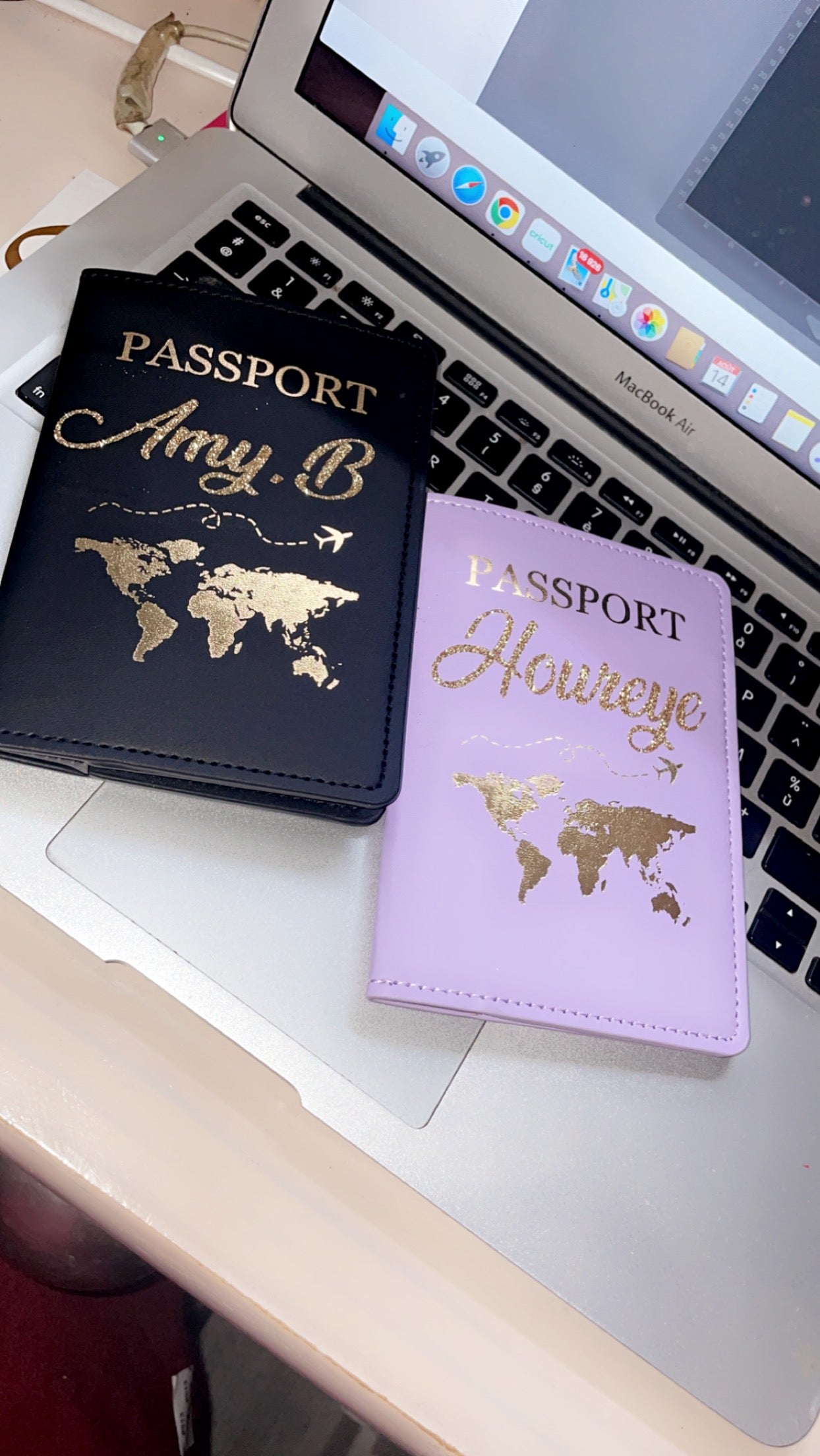 Protège passeport
